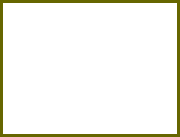 newcflp006006.gif